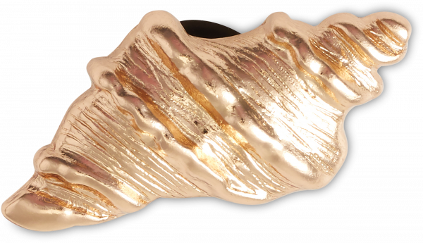 Gold Sea Shell